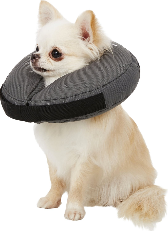 Procollar sales inflatable collar