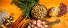 Fromm 4-Star Shredded Chicken Canned Dog Food 12 oz.