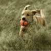 ChuckIt Large Ultra Rubber Ball