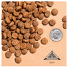 Fromm Classic Puppy 15 lb.