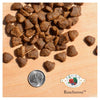 Fromm 4-Star Grain Free Rancherosa