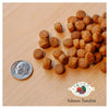 Fromm 4-Star Grain Free Salmon Tunalini