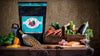 Fromm 4-Star Grain Free Salmon Tunalini
