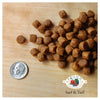 Fromm 4-Star Grain Free Surf and Turf