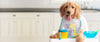 Fromm Gold Large Breed Puppy