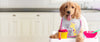 Fromm Heartland Gold Grain Free Puppy