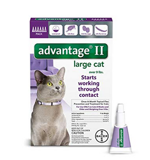 Advantage II Large Cat 4 Pack - Purple