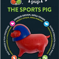 Spunky Pup Sports Pig Ball