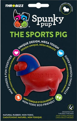 Spunky Pup Sports Pig Ball