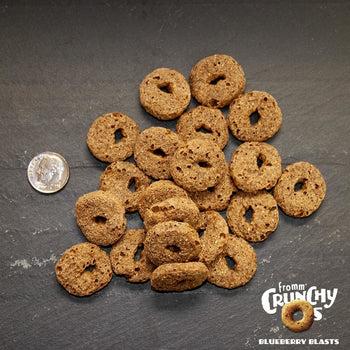 Fromm Crunchy Os Blueberry Blasts Dog Treats