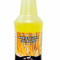 Wheat Germ Oil qt.