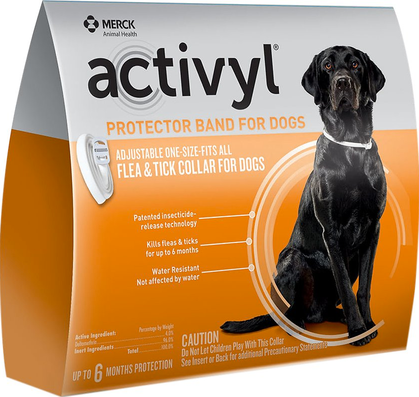 Activyl Dog Protector Band Monighetti s Farrier Feed Pet