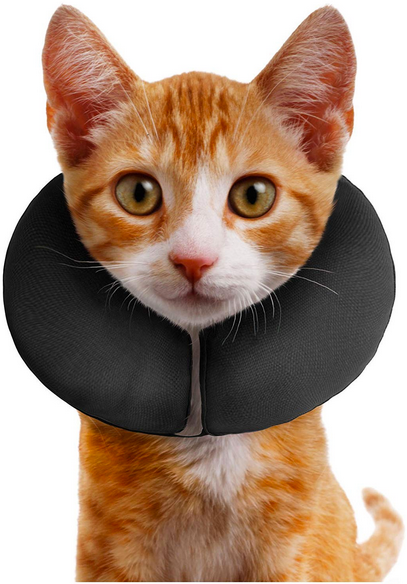 Procollar top inflatable collar