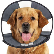 Zenpet Pro Cone XL