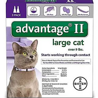 Advantage II Large Cat 2 Pack - Purple