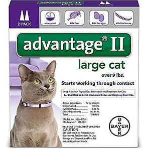 Advantage II Large Cat 2 Pack Purple