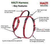Halti Walking Harness - 22 in.-30in.
