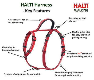 Halti Walking Harness - 22 in.-30in.