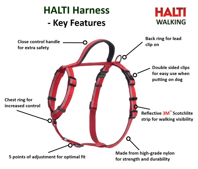 Halti Walking Harness - 26in.-30in.