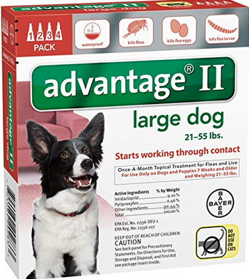 Advantage II Red Large Dog 4 Pack