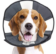 Zenpet Pro Cone - Medium