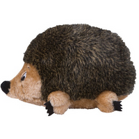 Small Hedgehog