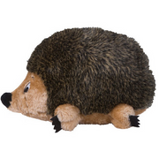 Small Hedgehog