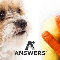 Answers Detailed Frozen Raw Beef Dog Food 4 lb.