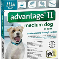 Advantage II Medium Dog 4 Pack - Teal
