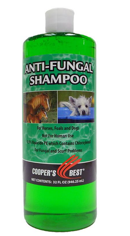 What is the best antifungal shampoo for clearance dogs