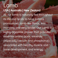 Nutri Source Grain Free Lamb 5 lb.