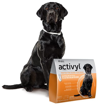 Activyl Dog Protector Band Monighetti's Farrier, Feed Pet